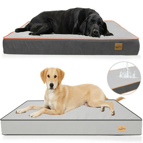 Xxxl extra large - l-xxxl, pet